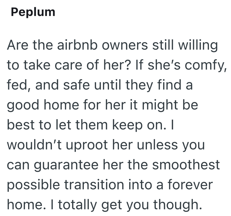 Peplum Are the airbnb owners still willing to take care of her? If she's comfy, fed, and safe until they find a good home for her it might be best to let them keep on. I wouldn't uproot her unless you can guarantee her the smoothest possible transition into a forever home. I totally get you though.