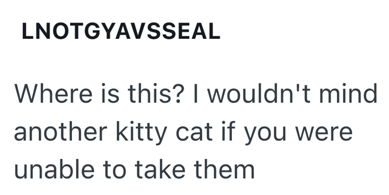 LNOTGYAVSSEAL Where is this? I wouldn't mind another kitty cat if you were unable to take them