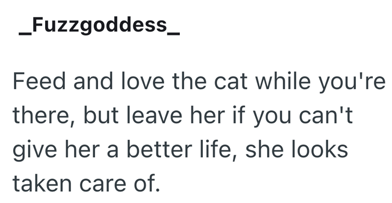 _Fuzzgoddess_ Feed and love the cat while you're there, but leave her if you can't give her a better life, she looks taken care of.