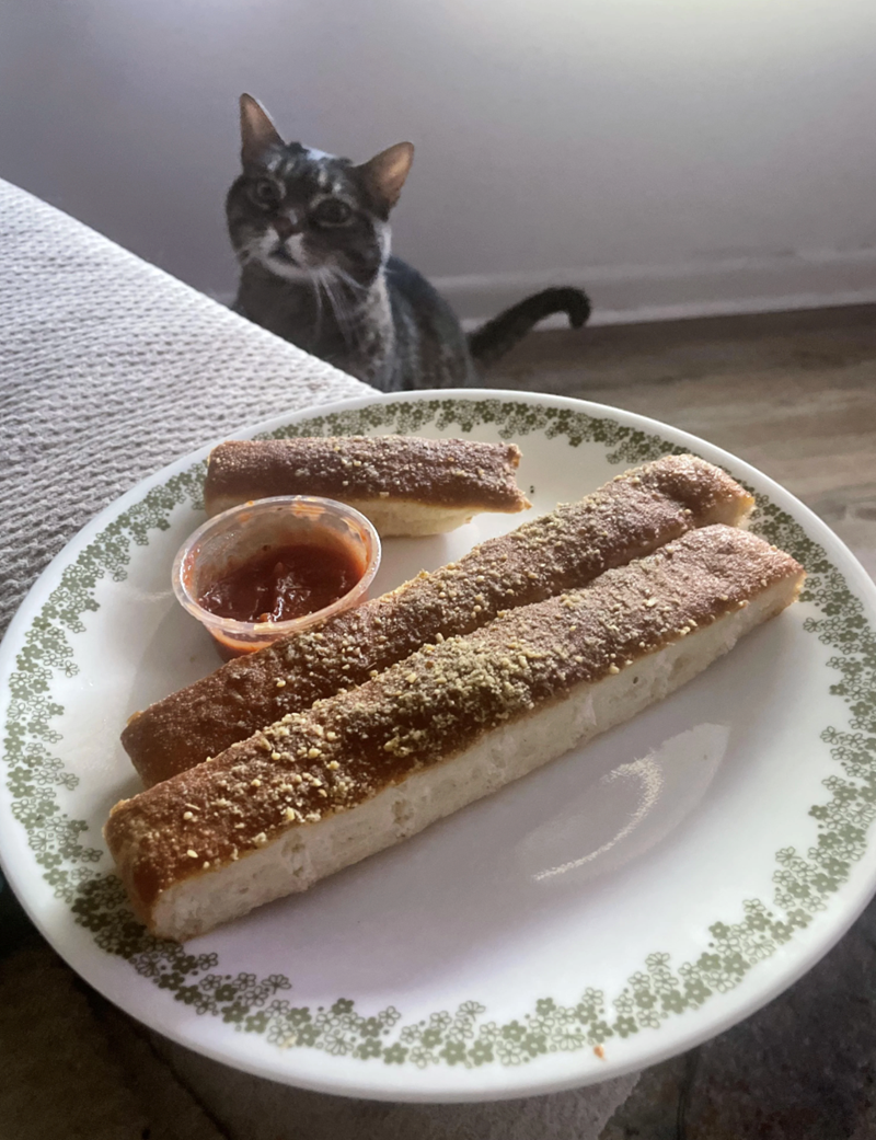 Cheezburger Image 10641992448
