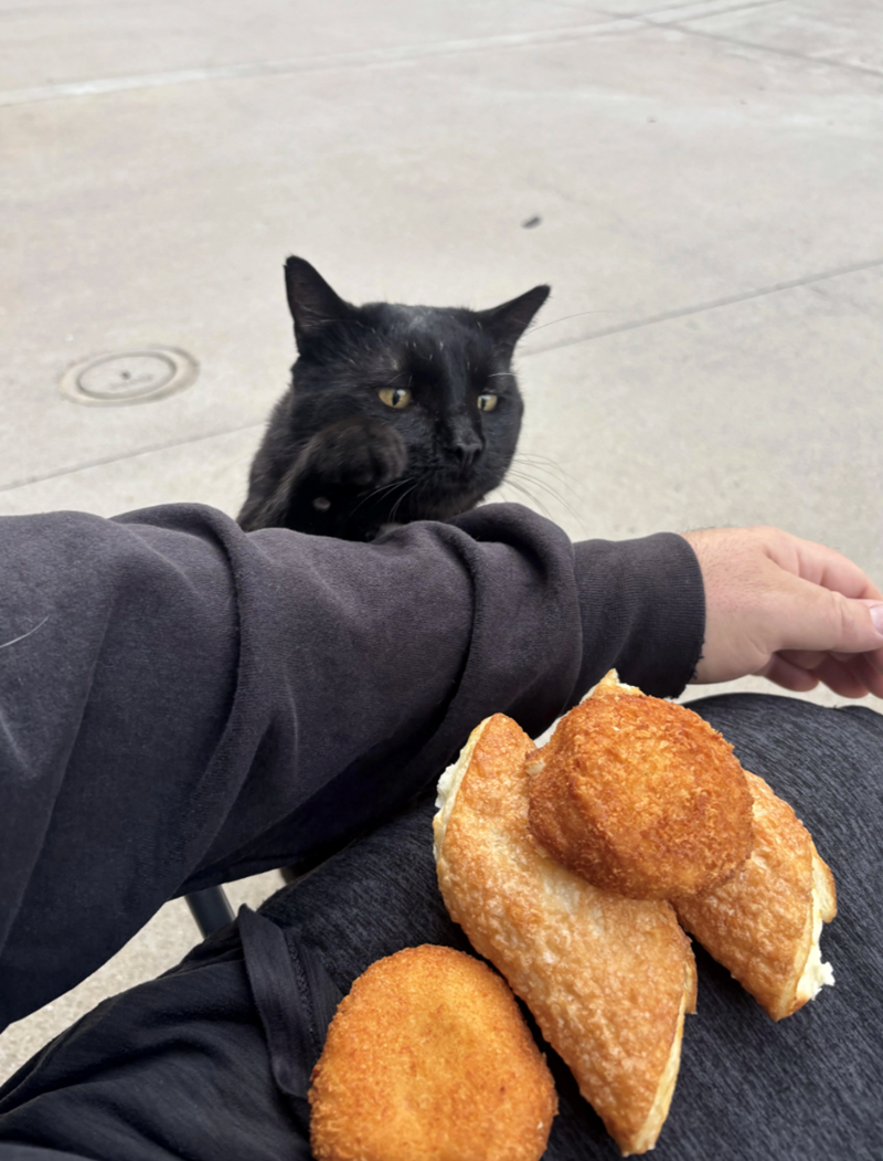 Cheezburger Image 10641998848