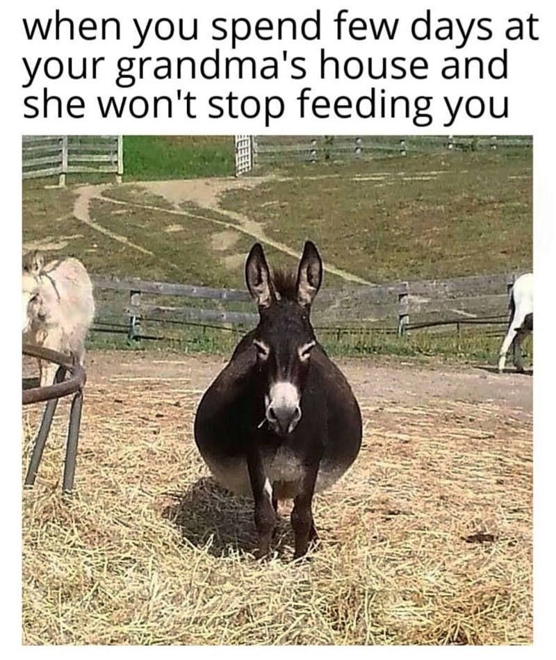 when you spend few days at your grandma's house and she won't stop feeding you