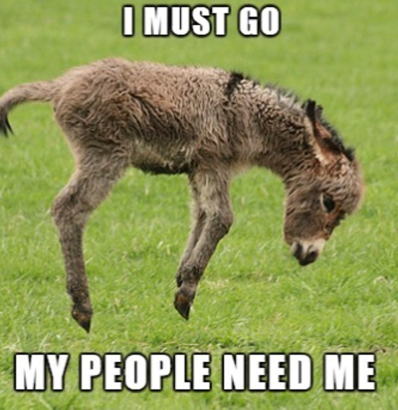I MUST GO MY PEOPLE NEED ME