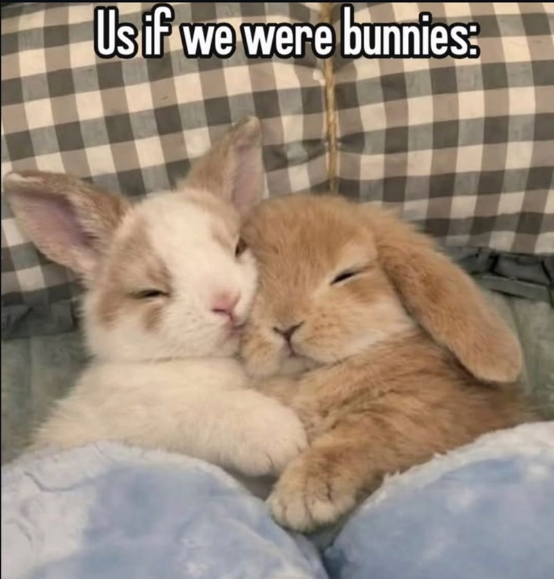 Us if we were bunnies: