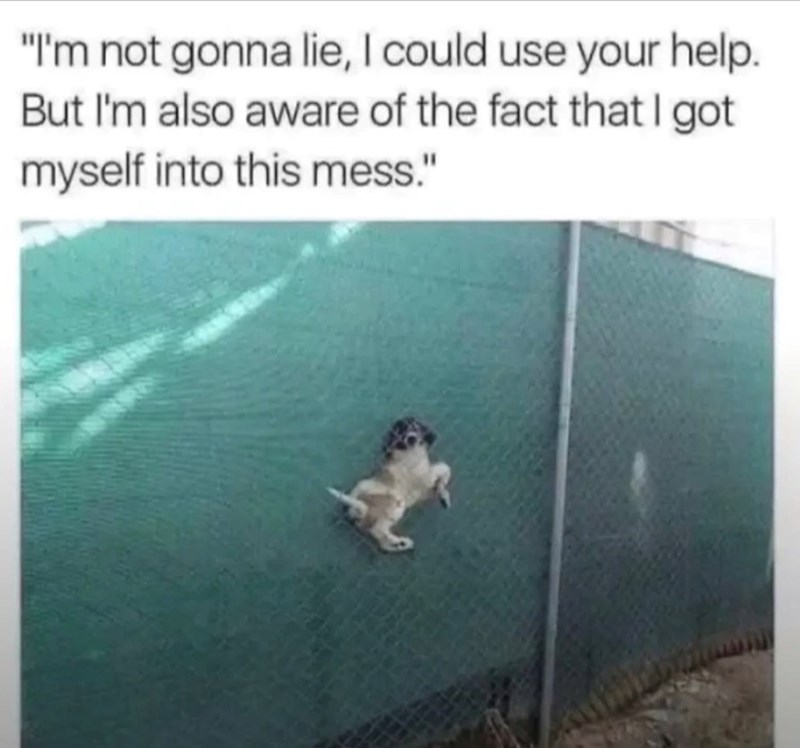 "I'm not gonna lie, I could use your help. But I'm also aware of the fact that I got myself into this mess."