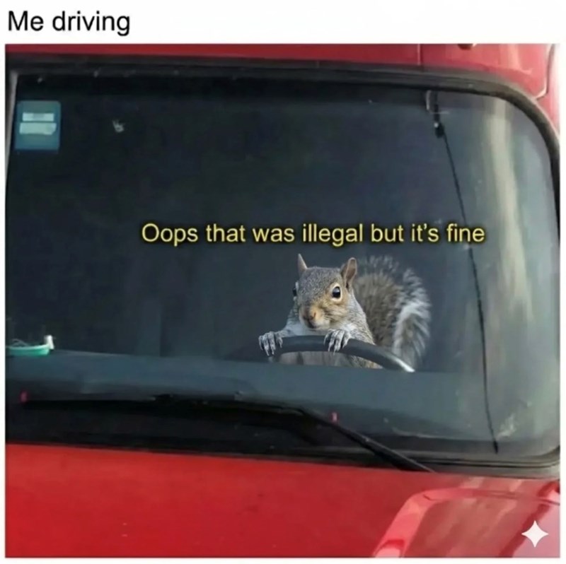 Me driving Oops that was illegal but it's fine