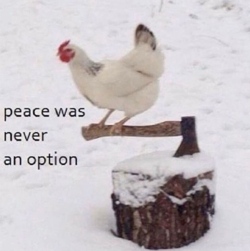 peace was never an option