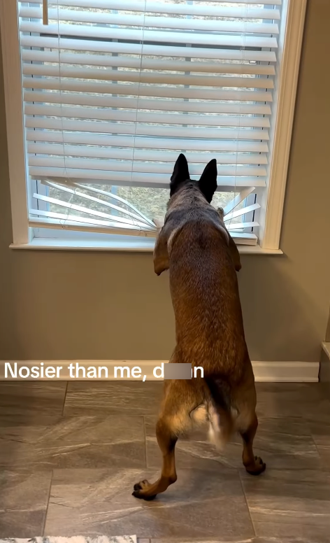 Nosier than me, don