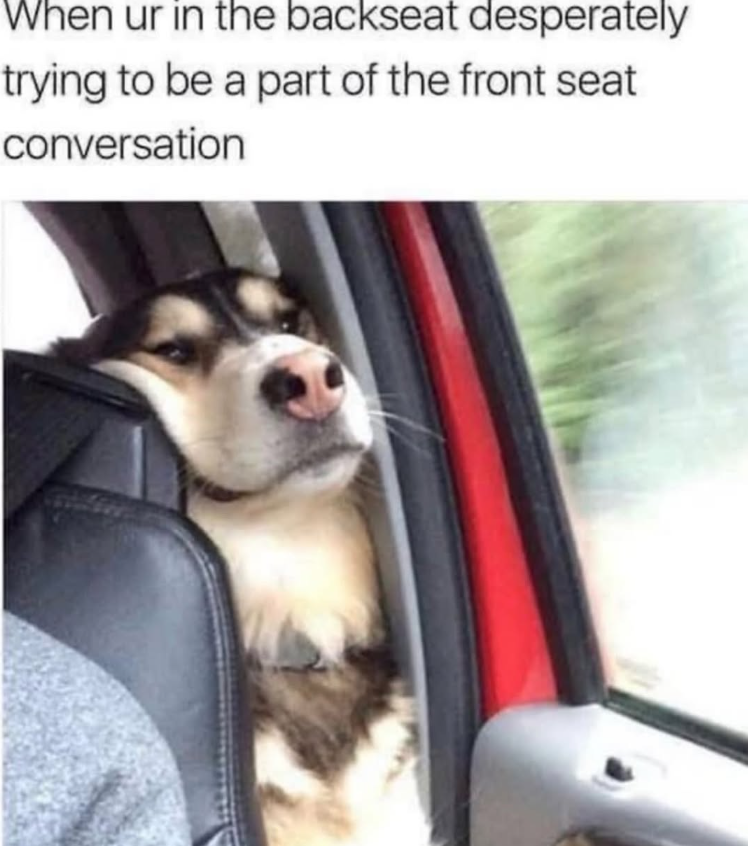 When ur in the backseat desperately trying to be a part of the front seat conversation