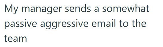 My manager sends a somewhat passive aggressive email to the team