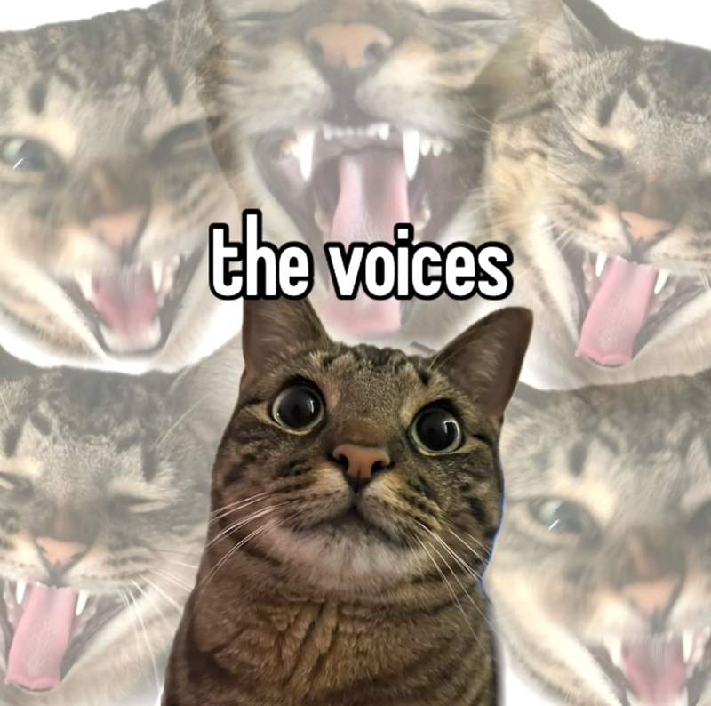 the voices