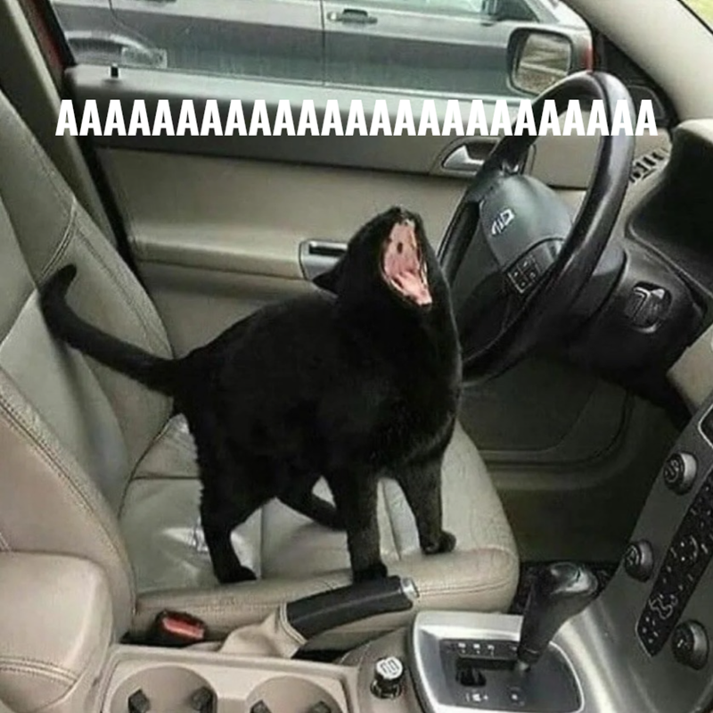 AAAAAAAAAAAAAAAAAAAAAAAAA בון 16111