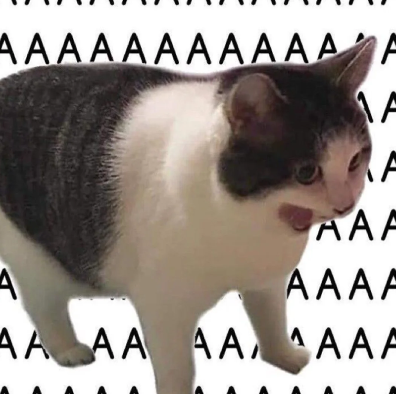 AAAAAAAAAAA A A A AAA A AAAA AAAA AAAAA