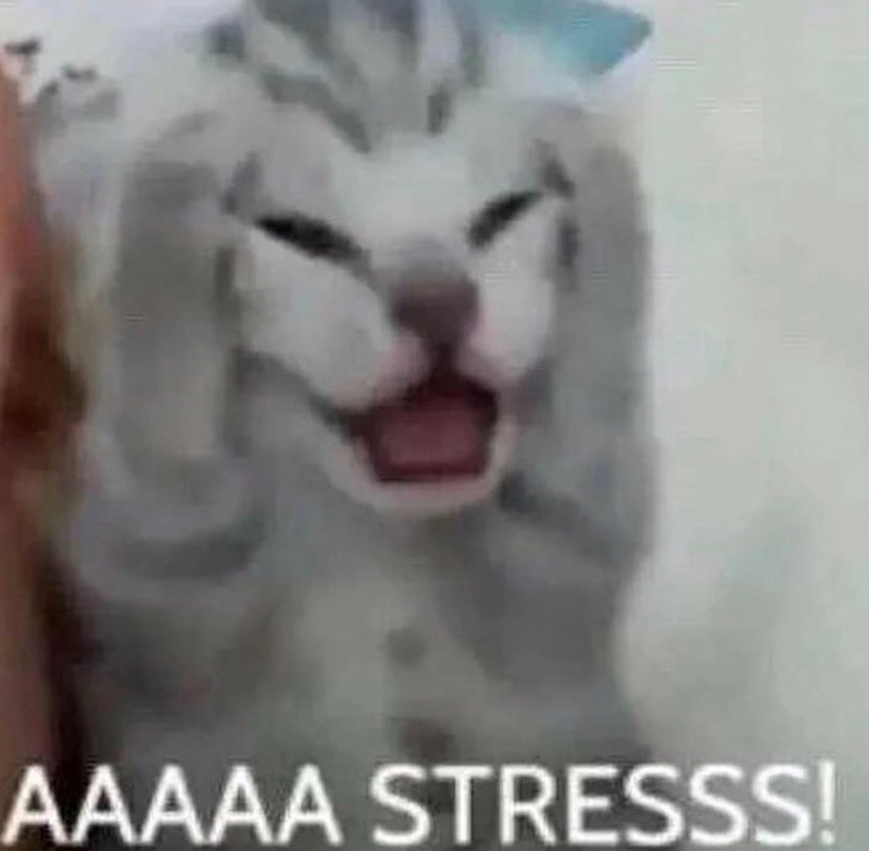 AAAAA STRESSS!
