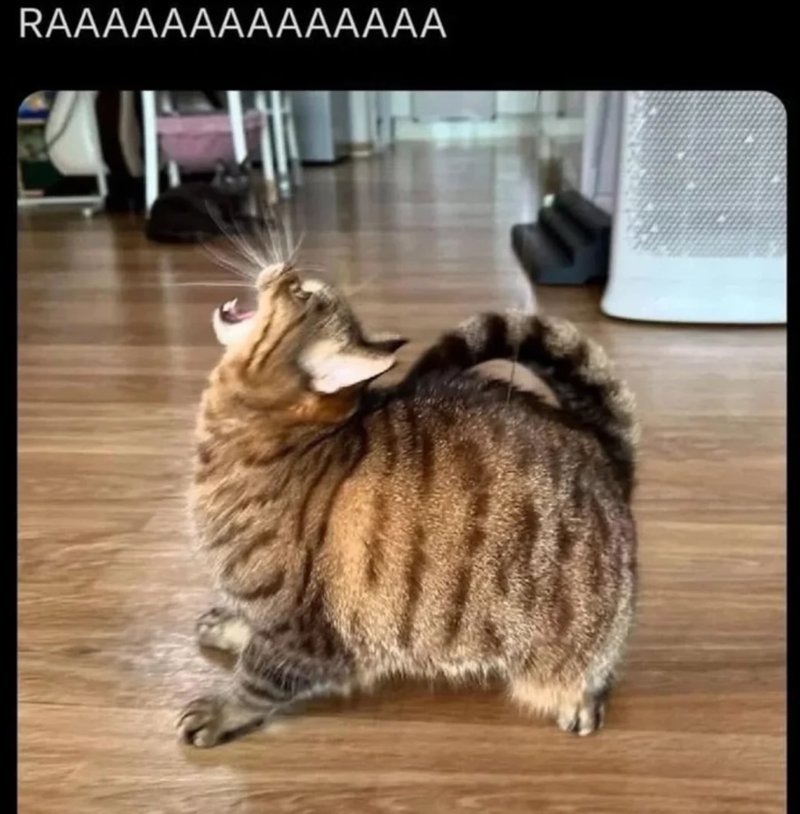 RAAAAAAAAAAAAAA