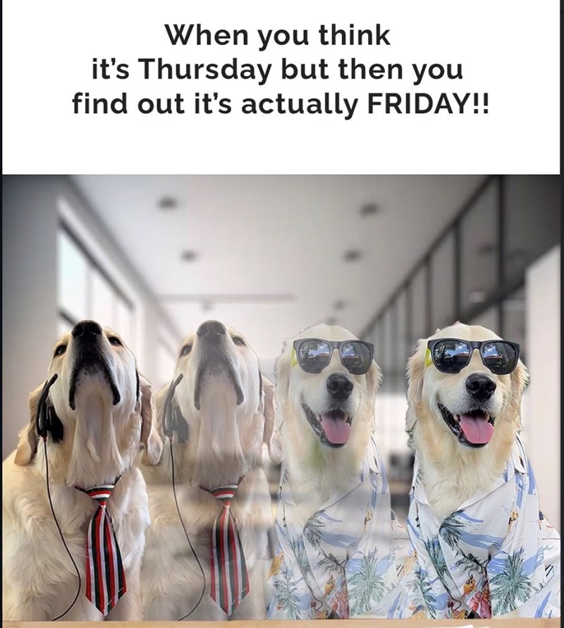 When you think it's Thursday but then you find out it's actually FRIDAY!!