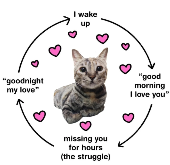 "goodnight my love" I wake up missing you for hours (the struggle) "good morning I love you"