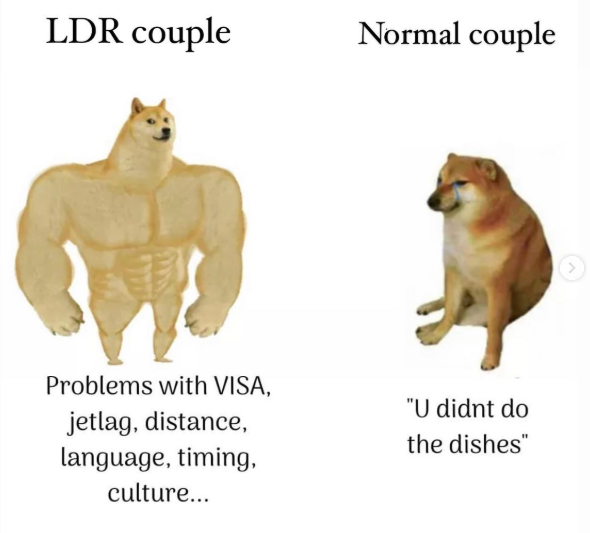 LDR couple Normal couple Problems with VISA, jetlag, distance, language, timing, culture... "U didnt do the dishes"