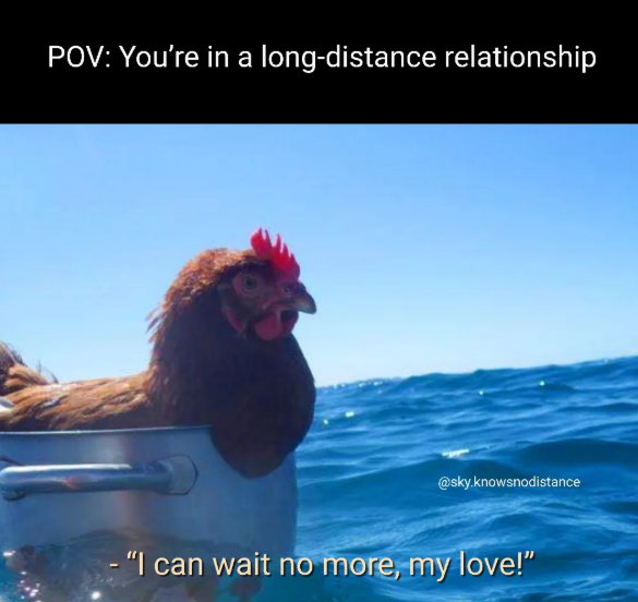 POV: You're in a long-distance relationship @sky.knowsnodistance "I can wait no more, my love!"