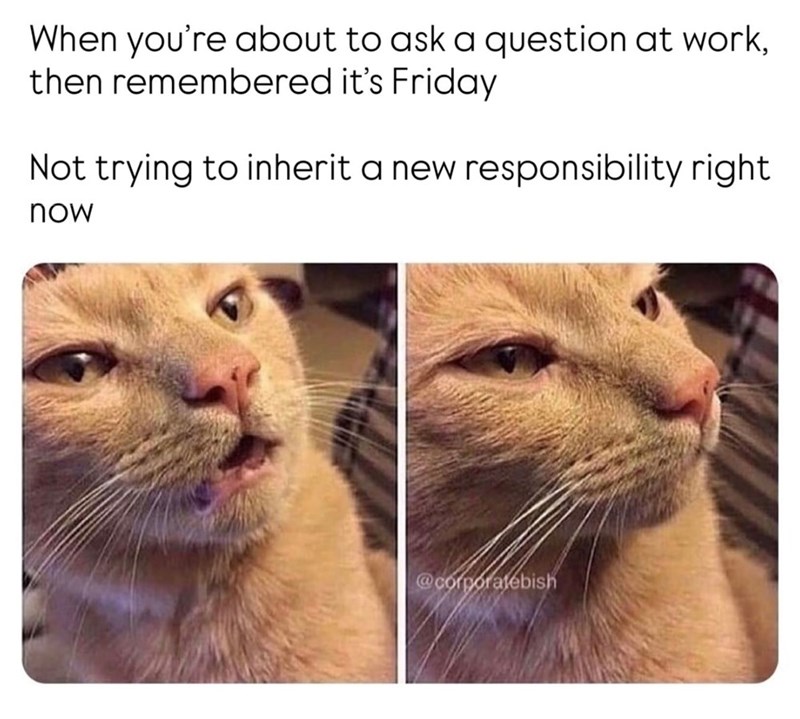 When you're about to ask a question at work, then remembered it's Friday Not trying to inherit a new responsibility right now @corporatebish