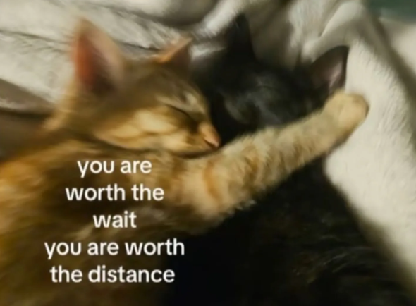 you are worth the wait you are worth the distance