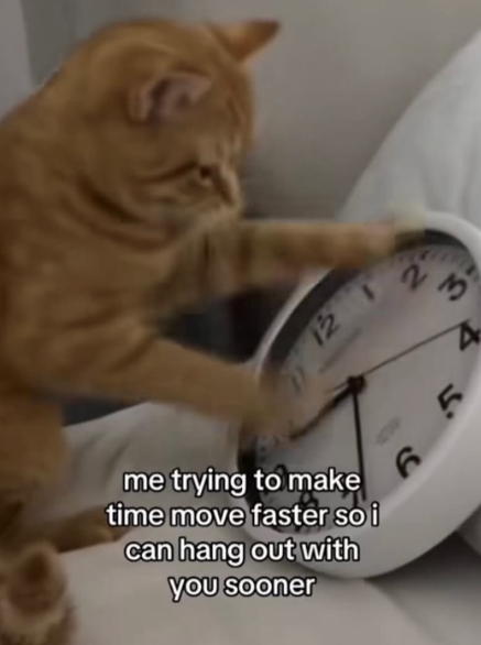 121 2 3 me trying to make time move faster so i can hang out with you sooner תי 5