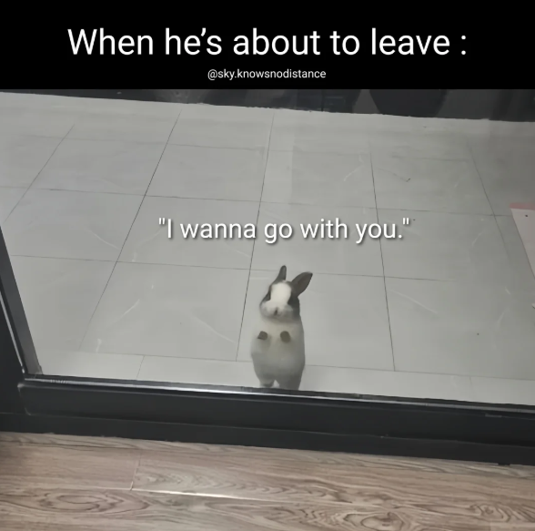 When he's about to leave: @sky.knowsnodistance "I wanna go with you."