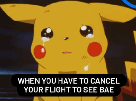 יון WHEN YOU HAVE TO CANCEL YOUR FLIGHT TO SEE BAE