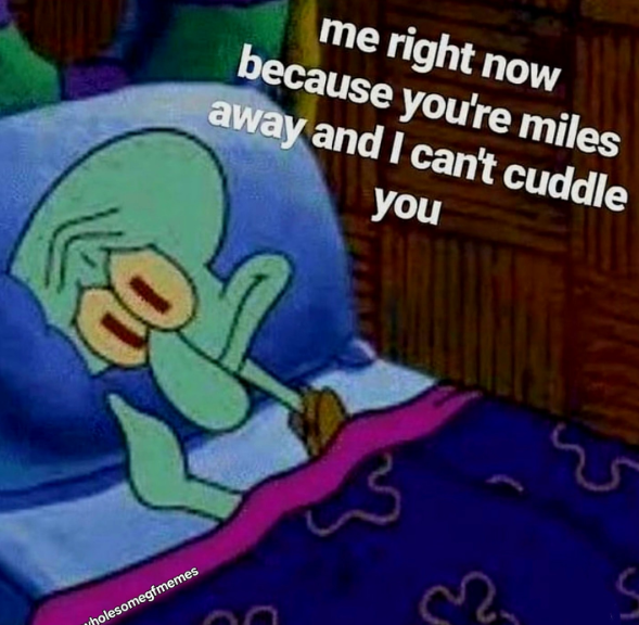 me right now because you're miles away and I can't cuddle you S Wholesomegfmemes 32