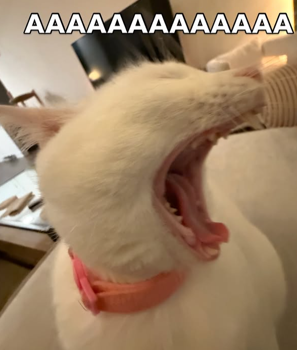 AAAAAAAAAAAAA