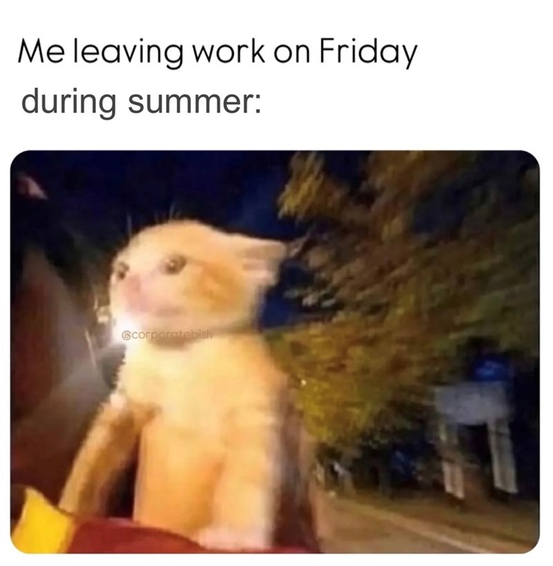 Me leaving work on Friday during summer: corporatebish