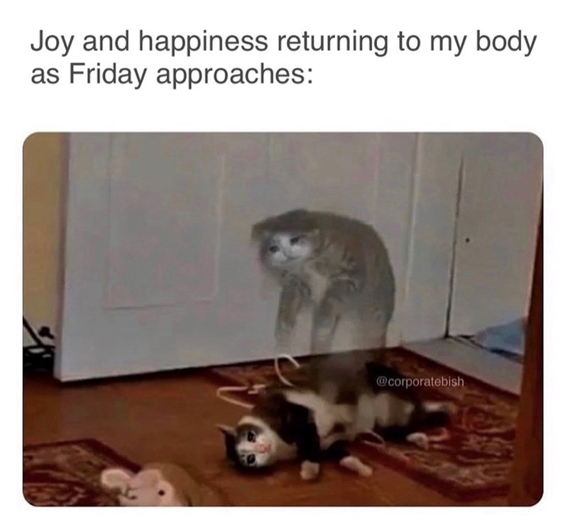 Joy and happiness returning to my body. as Friday approaches: @corporatebish
