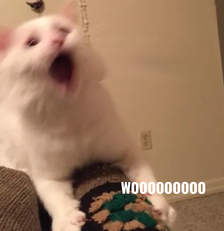 W000000000