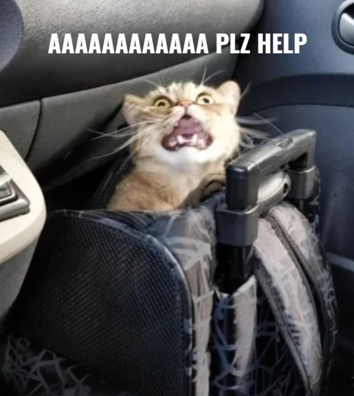 AAAAAAAAAAAA PLZ HELP