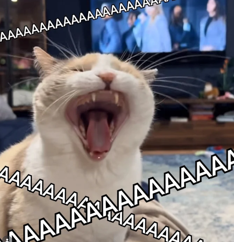 AAAAAAAAAAAAAAAAA AAAAAAA AAAAAAAAAAAAAA AAAAAAA