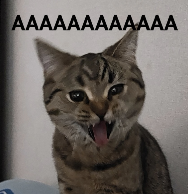 AAAAAAAAAAAA