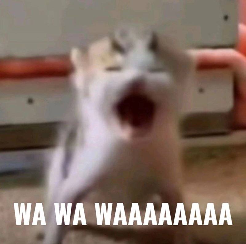 WA WA WAAAAAAAA