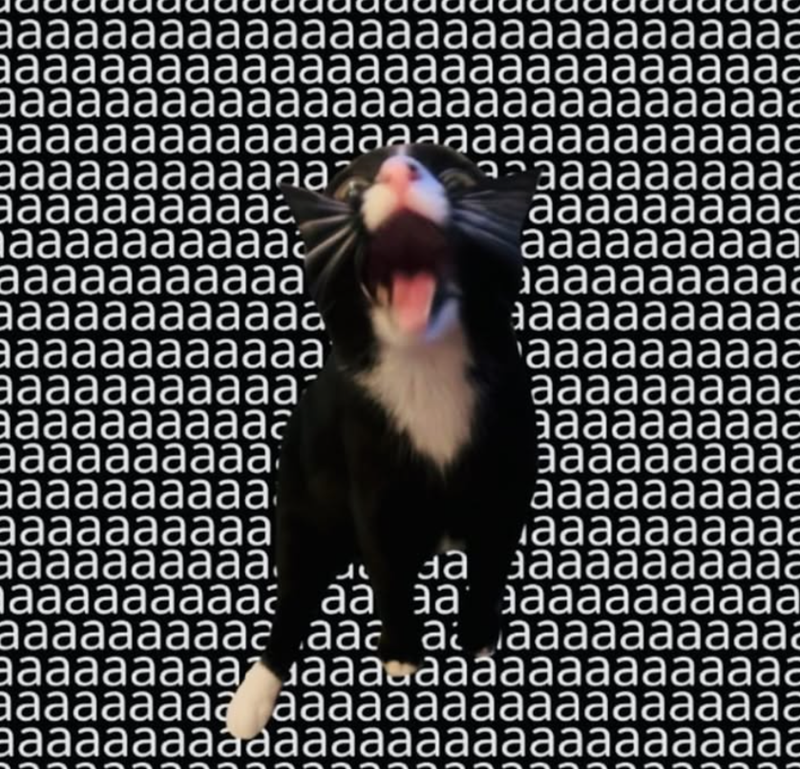 aaaaaaaaaaaaaaaaaaaaaaaaaaaaa aaaaaaaaaaaaaaaaaaaaaaaaaaaaa aaaaaaaaaaaaaaaaaaaaaaaaaaaaa aaaaaaaaaaaªªàªªàªªàªªaaaaaaa aaaaaaaaaaaa จาaaaaaaaaa aaaaaaaaaaa aaaaaaaaaa aaaaaaaaaa aaaaaaaaaa aaaaaaaaaaa aaaaaaaaaaa aaaaaaaaaaaa aaaaaaaaaaaa aaaaaaaaaaa aaaaaaaaaaa aaaaaaaaaa aaaaaaaaaa aaaaaaaaaa aaaaaaaaaaa aaaaaaaaaa aaaaaaaaaa aaaaaaaaaa aaaaaaaaaa aaaaaaaaaa aaaaaaaaaa aaaaaaaaaa Ꮧ aaaaaaaaaaa aaaaaaaaa aa aa aaaaaaaaaaa aaaaaaaaaa aaa aaaaaaaaaaaa aaaaaaaaaaaaaaaaaaaaaaaaaa aaaaaaaaa aaaaaaa