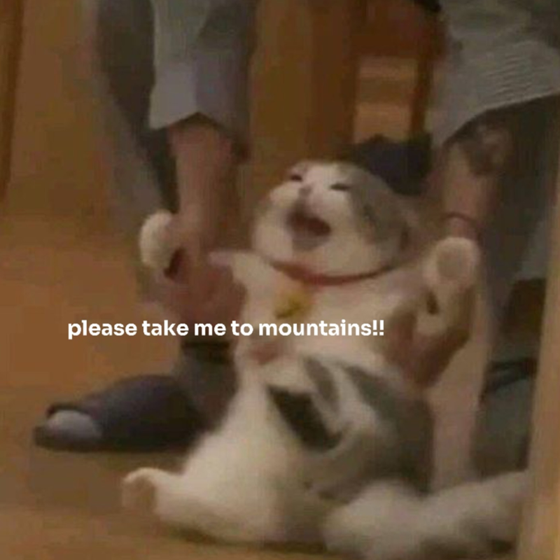 please take me to mountains!!