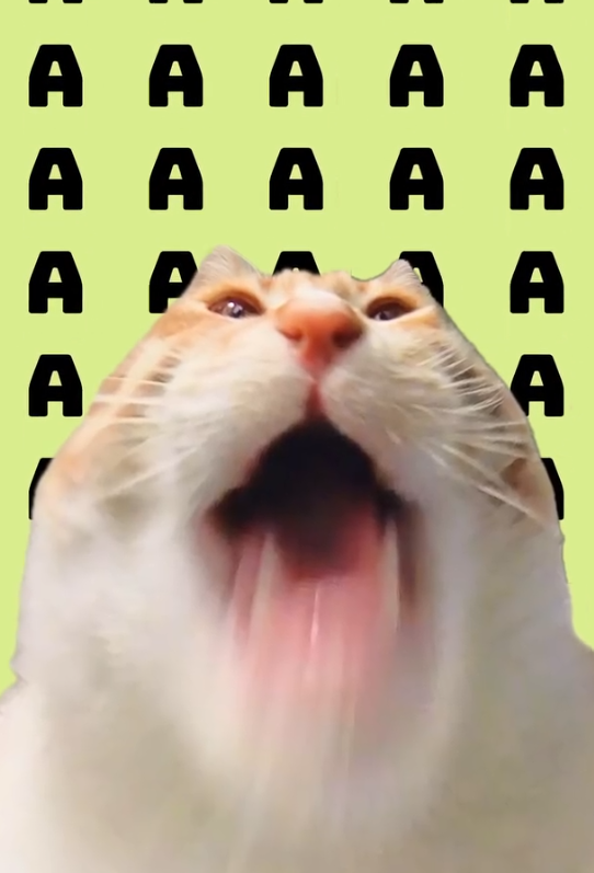 A A A A A ААА AAAAA A P A D D D D ¦ A A