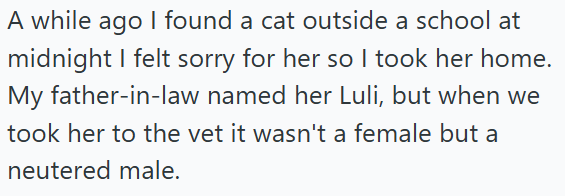 A while ago I found a cat outside a school at midnight I felt sorry for her so I took her home. My father-in-law named her Luli, but when we took her to the vet it wasn't a female but a neutered male.