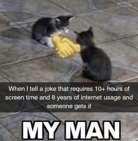 When I tell a joke that requires 10+ hours of screen time and 8 years of internet usage and someone gets it MY MAN