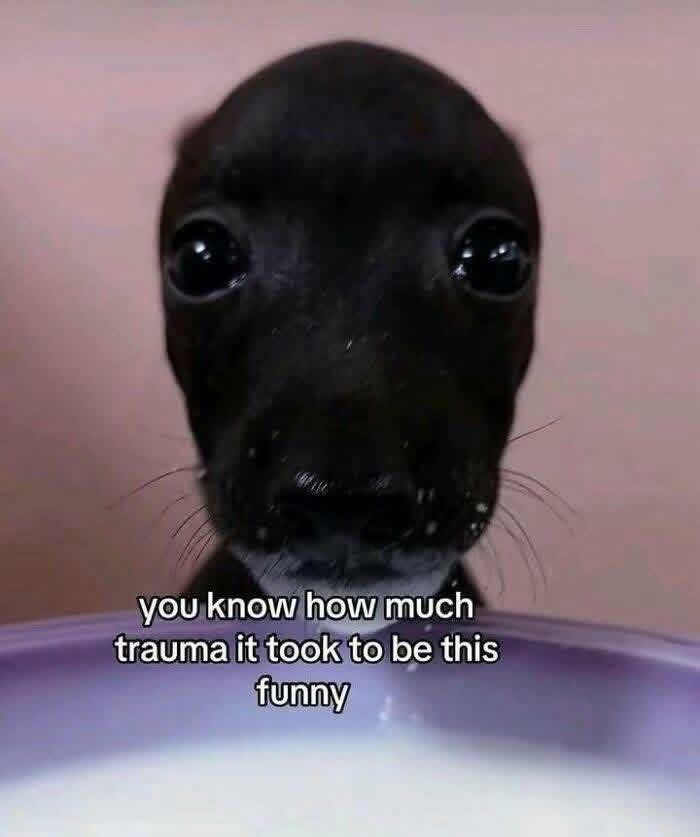 you know how much trauma it took to be this funny