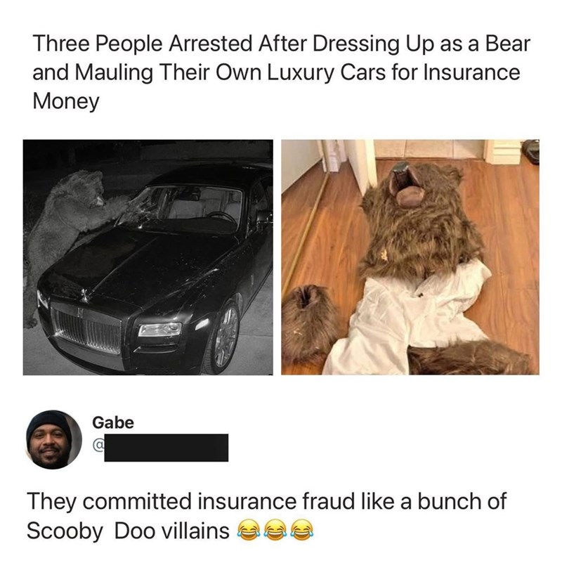 Three People Arrested After Dressing Up as a Bear and Mauling Their Own Luxury Cars for Insurance Money Gabe They committed insurance fraud like a bunch of Scooby Doo villains