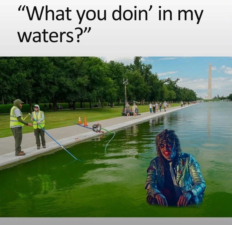 "What you doin' in my waters?"