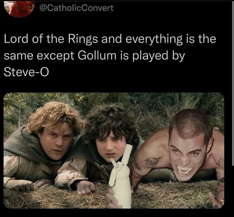 @CatholicConvert Lord of the Rings and everything is the same except Gollum is played by Steve-O