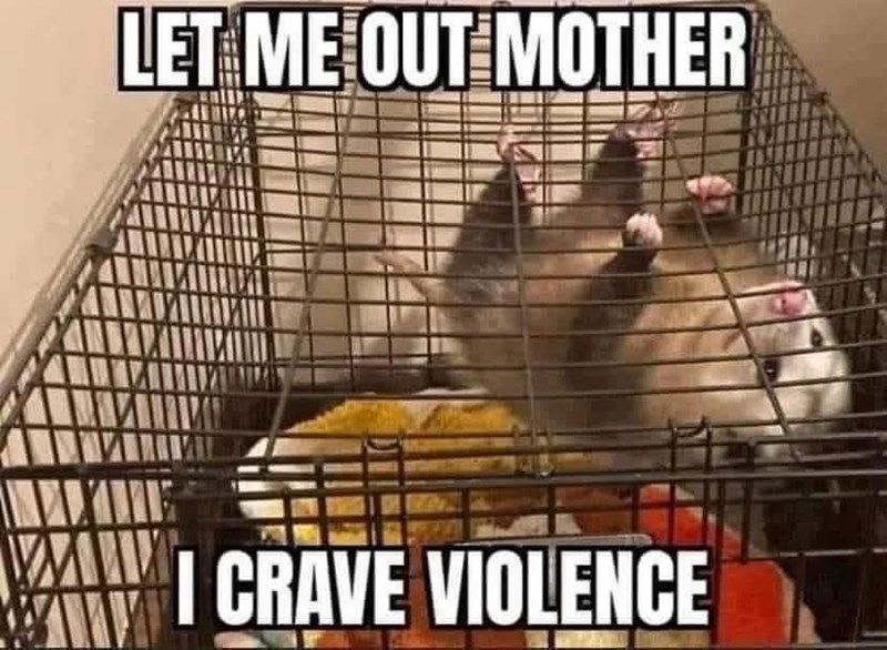 LET ME OUT MOTHER I CRAVE VIOLENCE