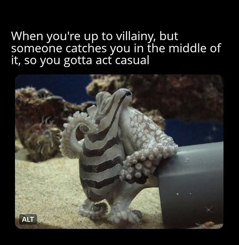 When you're up to villainy, but someone catches you in the middle of it, so you gotta act casual ALT
