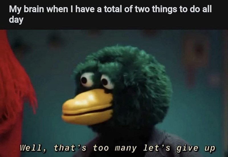 My brain when I have a total of two things to do all day Well, that's too many let's give up