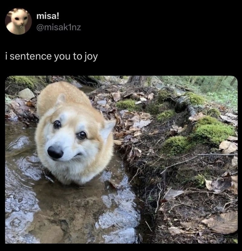 misa! @misak1nz i sentence you to joy